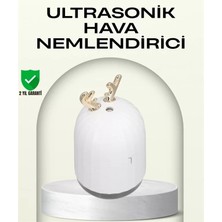 Midas Toptan Home Abs+Pp Malzemeli Taşınabilir 220 ML USB Mist Nemlendirici