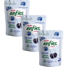 Yayla Enfies Freeze Dried Yaban Mersini 15 G X3