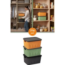Flora 3'lü Kapaklı Dolap Içi Düzenleyici Sepet Seti, Banyo Mutfak Buzdolabı Oyuncak Kutusu 3x7 Litre