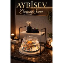 Reyo Ok-Ay Store Düz Raflı Işıklı Lüks Cam Fanus Içinde Beta Balığı Için Özel Tasarım Masa Üstü Dekoratif Akvaryum Siyah-Krem