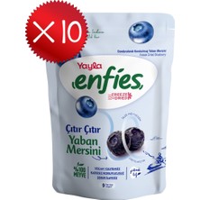 Yayla Enfies Freeze Dried Yaban Mersini 15 G X10