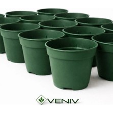 Veniv 10 Adet Fide Yetiştirme Çoğaltma Saksısı 8.5 cm