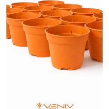Veniv 10 Adet Fide Yetiştirme Çoğaltma Saksısı 8.5 cm
