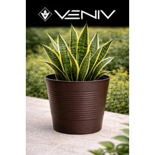 Veniv Kırılmaz Dekoratif Saksı 1.8l -1 Adet Çap 15 Boy 12