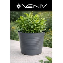 Veniv Kırılmaz Dekoratif Saksı 1.8l -1 Adet Çap 15 Boy 12