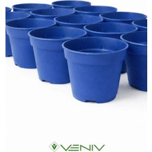 Veniv 10 Adet Fide Yetiştirme Çoğaltma Saksısı 8.5 cm