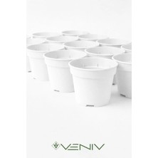Veniv 5 Adet Fide Yetiştirme Çoğaltma Saksısı 8.5 cm