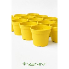 Veniv 10 Adet Fide Yetiştirme Çoğaltma Saksısı 8.5 cm