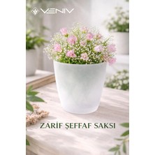 Veniv Dekoratif Saksı 2l + Hediye Şeffaf Saksı