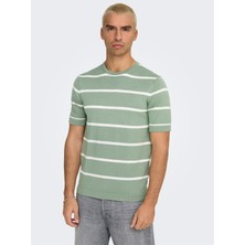 Only & Sons Onswyler Lıfe Reg 14 Ss Strıped Knıt Erkek Yeşil Kazak - OS22032764