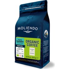Moliendo Finest Coffee Moliendo Organik Sumatra Yöresel Kahve (Öğütülmüş Filtre Kahve) 250 G