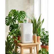 Ethab Ticaret Hava Temizleyici 3 Aşamalı Filtre Sistemi ve Düşük Gürültü Özellikli - GL002V-7MRP78