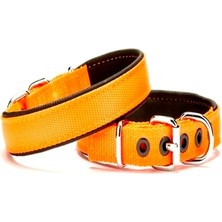 Alvera Softlu Köpek Boyun Tasması 2 cm x 40 cm Tcu