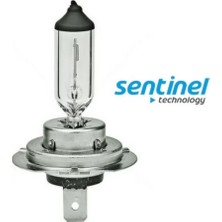 Midas Toptan Home Sentinel H7 Halojen Far Ampülü 12 Volt 55WATT