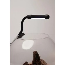 Orionled Fanus Mini LED Siyah