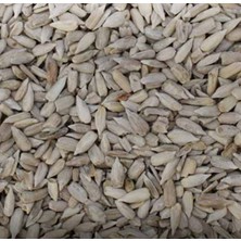 Fıstıkçı Ali Çekirdek Içi 1 kg