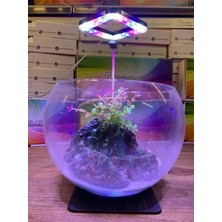 Orionled Goosneck Fanus & Nano Akvaryum LED Aydınlatma Kare Siyah