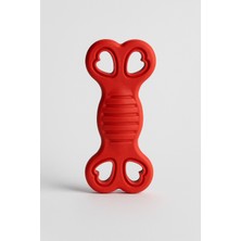 Papağanhane Kalp Şekilli Kauçuk Köpek Oyuncağı | Diş Sağlığını Destekleyen Dayanıklı Çiğneme Oyuncağı (12,5 Cm)