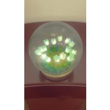 Famemus Accessory Ahsap Lale Bahçesi LED Işıklı Çok Şık Hediyelik Ürün Boyut 10 cm