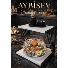 Reyo Ok-Ay Store Exclusive Işıklı Beta Akvaryum ve Fanus Modern Tasarım LED Aydınlatmalı Modern Temalı Fanus Siyah-Beyaz