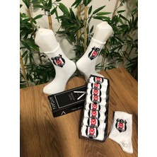 Aygan Store 8 Çift Unisex Renkli Desenli Soket Çorap Desenli Beyaz Kolej Çoraplar 8 Adet