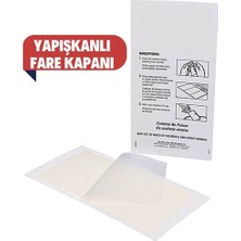 MidasTech Turk Yapışkanlı Pratik Fare Kapanı Midiastech