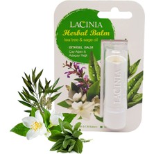 Lacinia Dudak Koruyucu Bitkisel Balm