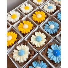 Çağıl Candles Papatya Figürlü Mum 10 Adet | Kutulu Söz Ppm-05-Rnkhediyelik Mum | Renkli Seri