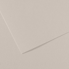 Canson Fon Kartonu (Dokulu) Mı-Teıntes Sh Canmt 50X65 160 gr Grey 120