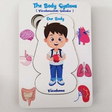 Moon Beavers Vücudumuz Sistemleri Erkek Ahşap Eğitici Oyun