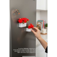 Bi Home Mini Saksı Magnet 2’li Çiçek Saksısı Buzdolabı Süsü Dekoratif Magnet Çiçek Dahil Değil