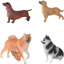 Asya Oyuncak Köpekler 6 21616-E014