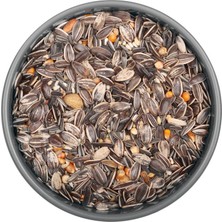 Katzoo Papağan Karışık Yemi - 25 kg