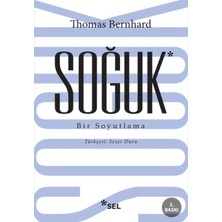 Ne Lazım Bana Soğuk - Bir Soyutlama