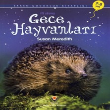 K&A Ilk Okuma - Gece Hayvanları