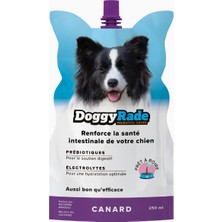 Doggyrade Prebiyotik Ördek Aromalı Köpek Içeceği