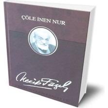 Chic Haven Çöle Inen Nur (Deri Ciltli)