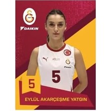 Mythos Voleybol Kart Serisi-Karton Kutu 24/25 (15 Kart)