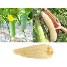 Doğal Kabak Lifli Kese Banyo Eldiveni–çift Taraflı Vucüt Kesesi Peeling ELDIVEN,15X23 Cm,exfoliating Rovin Kumaş, Cilt Temizleyici Yenileyici Canlandırıcı Etki, Selülit Karşıtı,hücre Yenileme