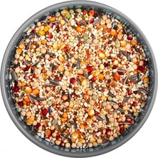 Katzoo Güvercin Yemi Dört Mevsim - 20 kg