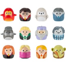 Squishmallows Squish-A-Longs Harry Potter Serisi 12'li Figür Seri 1 AL0108