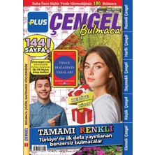 Plus Çengel Bulmaca 3