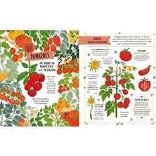 Grow: A First Guide To Plants And How To Grow Them