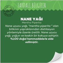 Gurme Sokağı Nane Yağı 10 ml