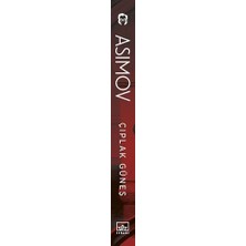 Robot Serisi 2. Kitap - Çıplak Güneş