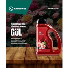 Naturwin Garden Gül Sıvı Bitki Besini – Bol Çiçeklenme ve Canlı Gül Gelişimi | 600 ml