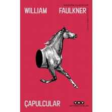 Çapulcular