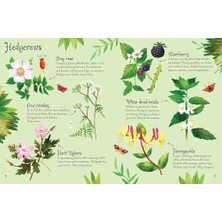 Flowers To Spot (Usborne Minis)