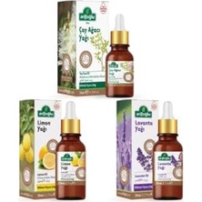 Çay Ağacı Yağı 10ML + Lavanta 20ML + Limon Yağı 20ML