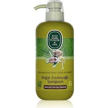 Doğal Zeytinyağlı Şampuan (600 Ml)